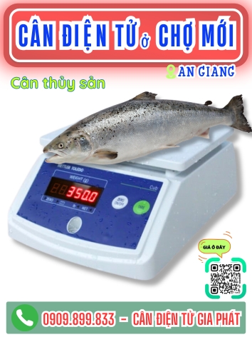 C&acirc;n điện tử ở Chợ Mới An Giang - C&acirc;n Gia Ph&aacute;t