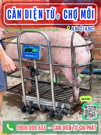 C&acirc;n điện tử ở Chợ Mới An Giang - C&acirc;n Gia Ph&aacute;t