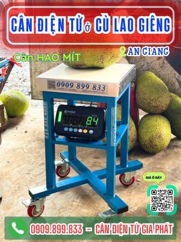 C&acirc;n điện tử ở C&ugrave; Lao Gi&ecirc;ng An Giang - C&acirc;n Gia Ph&aacute;t