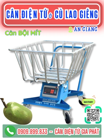 C&acirc;n điện tử ở C&ugrave; Lao Gi&ecirc;ng An Giang - C&acirc;n Gia Ph&aacute;t
