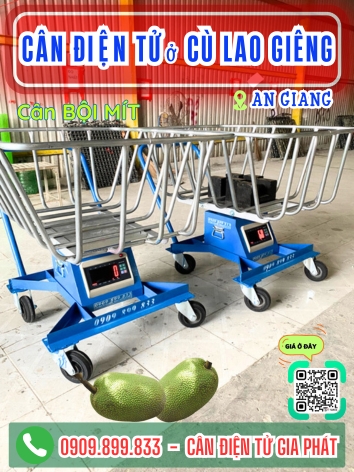 C&acirc;n điện tử ở C&ugrave; Lao Gi&ecirc;ng An Giang - C&acirc;n Gia Ph&aacute;t