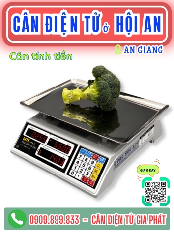C&acirc;n điện tử ở Hội An An Giang - C&acirc;n Gia Ph&aacute;t