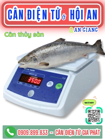 C&acirc;n điện tử ở Hội An An Giang - C&acirc;n Gia Ph&aacute;t