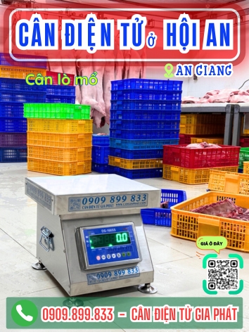 C&acirc;n điện tử ở Hội An An Giang - C&acirc;n Gia Ph&aacute;t