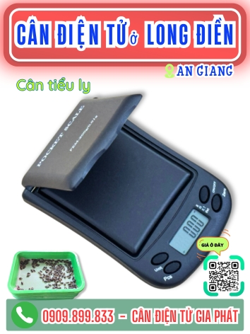 Cân điện tử ở xã Long Điền An Giang