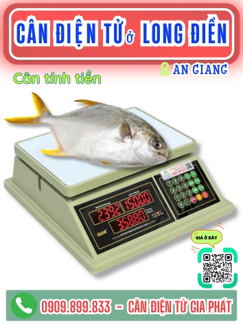 C&acirc;n điện tử ở Long Điền An Giang - C&acirc;n Gia Ph&aacute;t