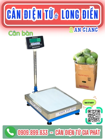 C&acirc;n điện tử ở Long Điền An Giang - C&acirc;n Gia Ph&aacute;t
