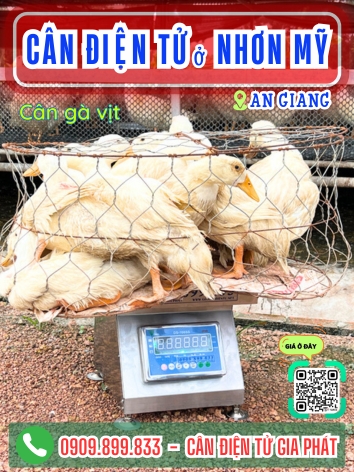 C&acirc;n điện tử ở Nhơn Mỹ An Giang - C&acirc;n Gia Ph&aacute;t