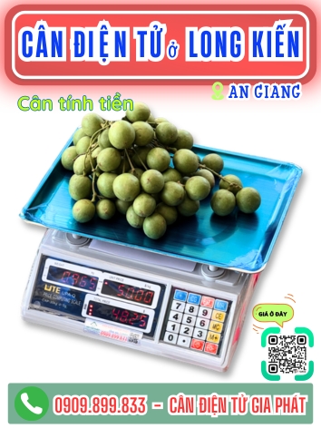 Cân điện tử ở xã Long Kiến An Giang