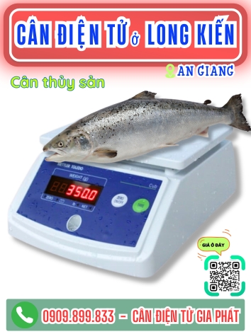 C&acirc;n điện tử ở Long Kiến An Giang - C&acirc;n Gia Ph&aacute;t