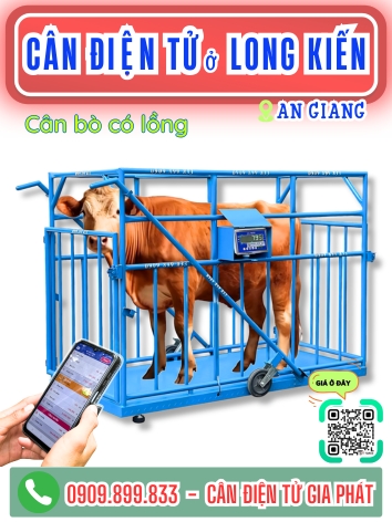 C&acirc;n điện tử ở Long Kiến An Giang - C&acirc;n Gia Ph&aacute;t
