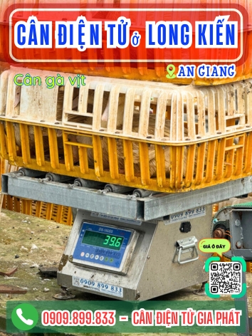 C&acirc;n điện tử ở Long Kiến An Giang - C&acirc;n Gia Ph&aacute;t