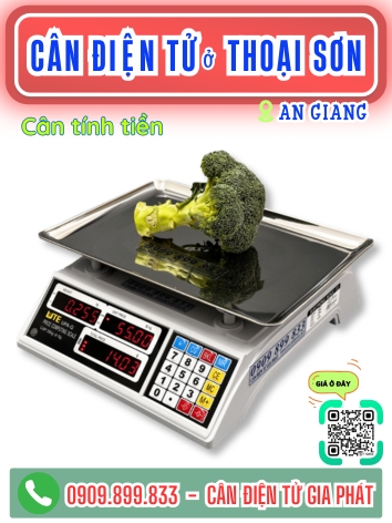 C&acirc;n điện tử ở Thoại Sơn An Giang Giang - C&acirc;n Gia Ph&aacute;t