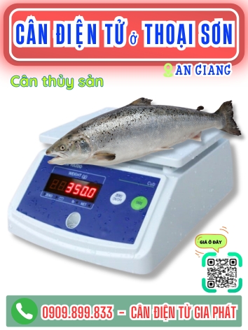 C&acirc;n điện tử ở Thoại Sơn An Giang Giang - C&acirc;n Gia Ph&aacute;t