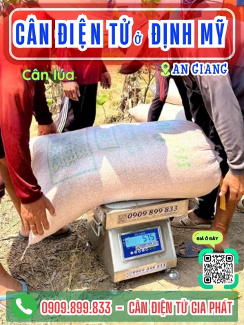 Cân điện tử ở xã Định Mỹ An Giang
