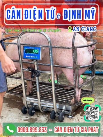C&acirc;n điện tử ở Định Mỹ An Giang - C&acirc;n Gia Ph&aacute;t