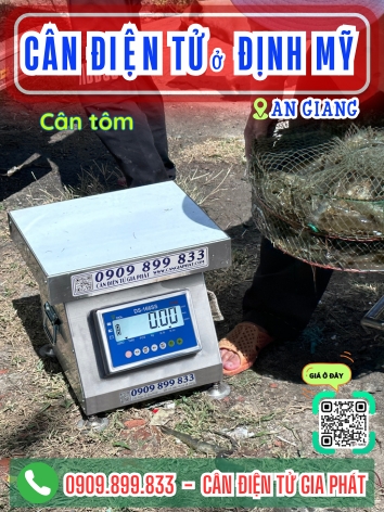 C&acirc;n điện tử ở Định Mỹ An Giang - C&acirc;n Gia Ph&aacute;t