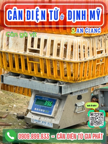 C&acirc;n điện tử ở Định Mỹ An Giang - C&acirc;n Gia Ph&aacute;t