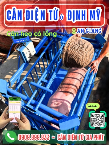 C&acirc;n điện tử ở Định Mỹ An Giang - C&acirc;n Gia Ph&aacute;t