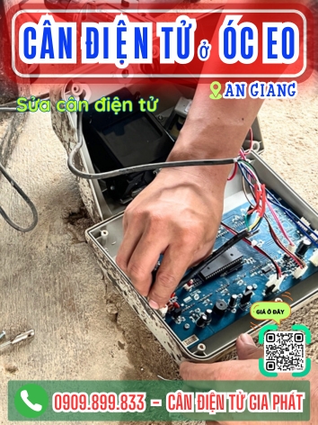 C&acirc;n điện tử ở &Oacute;c Eo An Giang - C&acirc;n Gia Ph&aacute;t