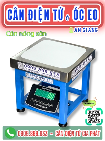 C&acirc;n điện tử &Oacute;c Eo An Giang - C&acirc;n Gia Ph&aacute;t