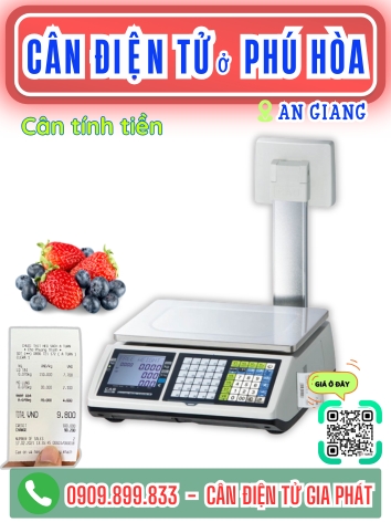 C&acirc;n điện tử ở Ph&uacute; H&ograve;a An Giang - C&acirc;n Gia Ph&aacute;t