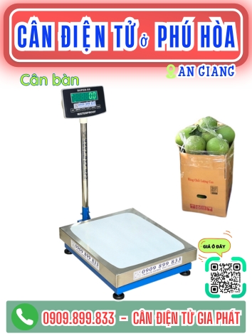 C&acirc;n điện tử ở Ph&uacute; H&ograve;a An Giang - C&acirc;n Gia Ph&aacute;t