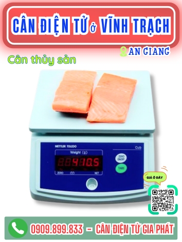 C&acirc;n điện tử ở Vĩnh Trạch An Giang - C&acirc;n Gia Ph&aacute;t