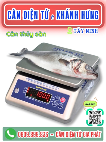 C&acirc;n điện tử ở Vĩnh Hưng T&acirc;y Ninh - C&acirc;n Gia Ph&aacute;t