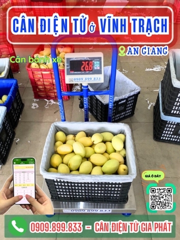 C&acirc;n điện tử ở Vĩnh Trạch An Giang - C&acirc;n Gia Ph&aacute;t