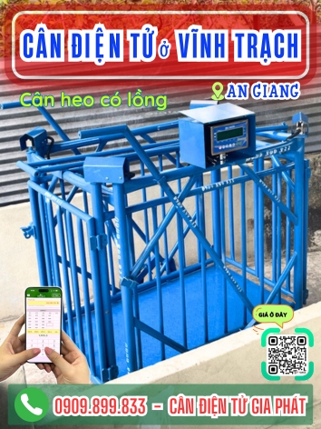 C&acirc;n điện tử ở Vĩnh Trạch An Giang - C&acirc;n Gia Ph&aacute;t