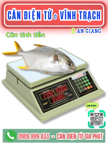 C&acirc;n điện tử ở Vĩnh Trạch An Giang - C&acirc;n Gia Ph&aacute;t