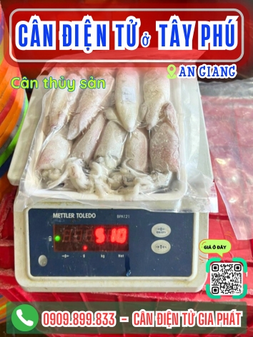 C&acirc;n điện tử ở x&atilde; T&acirc;y Ph&uacute; An Giang - C&acirc;n Gia Ph&aacute;t