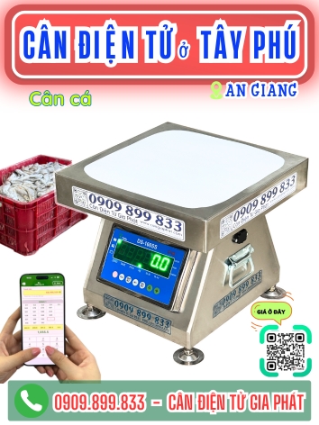 C&acirc;n điện tử ở x&atilde; T&acirc;y Ph&uacute; An Giang - C&acirc;n Gia Ph&aacute;t