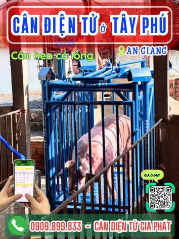 C&acirc;n điện tử ở T&acirc;y Ph&uacute; An Giang - C&acirc;n Gia Ph&aacute;t
