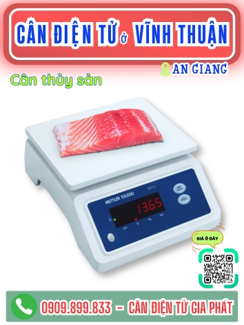 C&acirc;n điện tử ở Vĩnh Thuận An Giang - C&acirc;n Gia Ph&aacute;t
