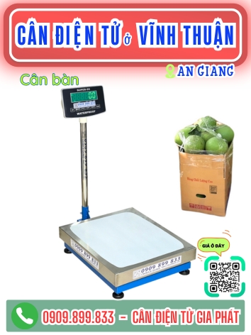 C&acirc;n điện tử ở Vĩnh Thuận An Giang - C&acirc;n Gia Ph&aacute;t