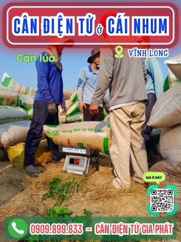 C&acirc;n điện tử ở C&aacute;i Nhum Vĩnh Long - C&acirc;n Gia Ph&aacute;t