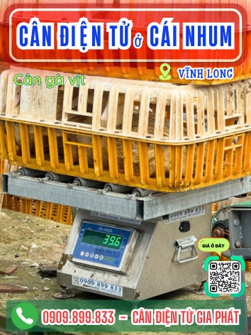 C&acirc;n điện tử ở C&aacute;i Nhum Vĩnh Long - C&acirc;n Gia Ph&aacute;t
