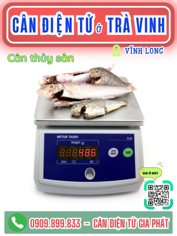 C&acirc;n điện tử ở Tr&agrave; Vinh Vĩnh Long - C&acirc;n Gia Ph&aacute;t