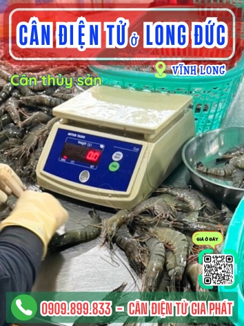 Cân điện tử ở Long Đức Vĩnh Long - Cân Gia Phát