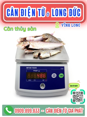 Cân điện tử ở phường Long Đức Vĩnh Long