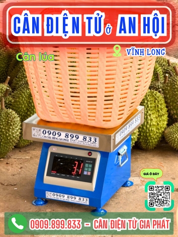 C&acirc;n điện tử ở An Hội Vĩnh Long - C&acirc;n Gia Ph&aacute;t