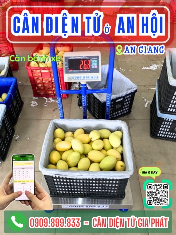 C&acirc;n điện tử ở An Hội Vĩnh Long - C&acirc;n Gia Ph&aacute;t