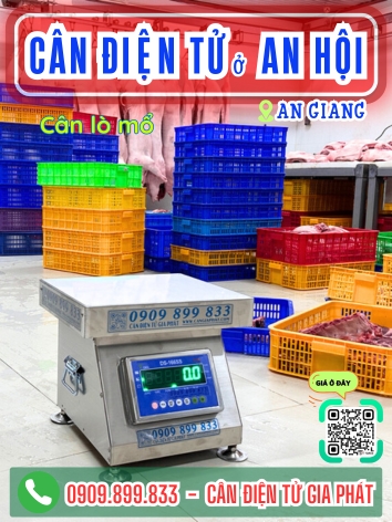 C&acirc;n điện tử ở An Hội Vĩnh Long - C&acirc;n Gia Ph&aacute;t