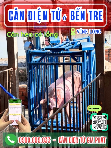 C&acirc;n điện tử ở Bến Tre Vĩnh Long - C&acirc;n Gia Ph&aacute;t