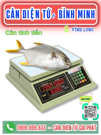 C&acirc;n điện tử ở B&igrave;nh Minh Vĩnh Long - C&acirc;n Gia Ph&aacute;t