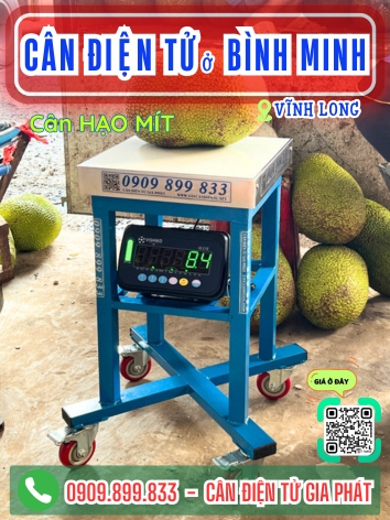 Cân điện tử ở Bình Minh Vĩnh Long - Cân Gia Phát