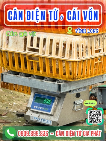 Cân điện tử ở Cái Vồn Vĩnh Long - Cân Gia Phát