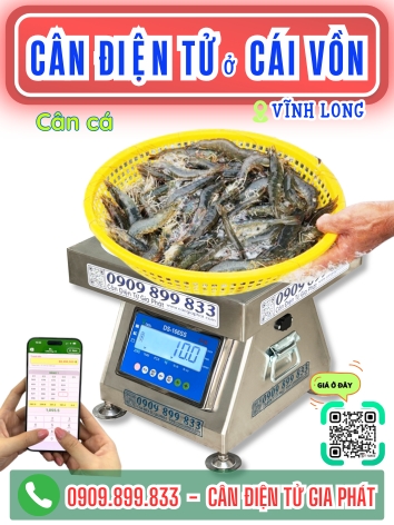 C&acirc;n điện tử ở C&aacute;i Vồn Vĩnh Long - C&acirc;n Gia Ph&aacute;t